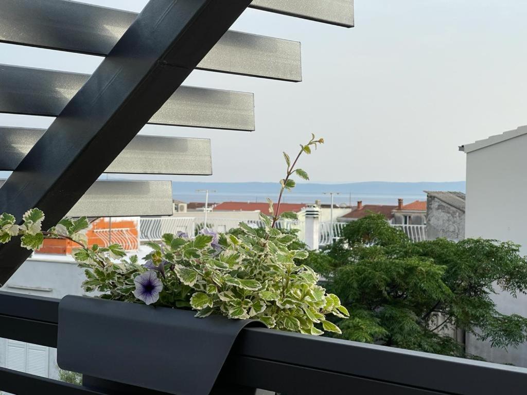 Tučepi Villa Jadranka Apartments المظهر الخارجي الصورة